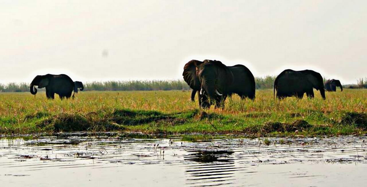 Kwalape Safari Lodge Kasane Exterior foto